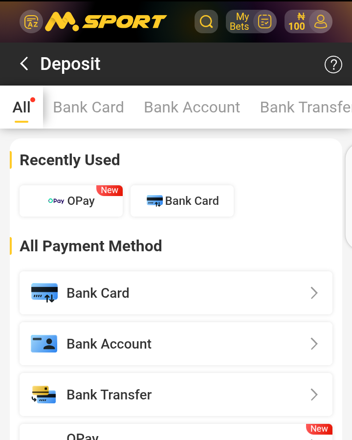DEPOSIT PAGE.png